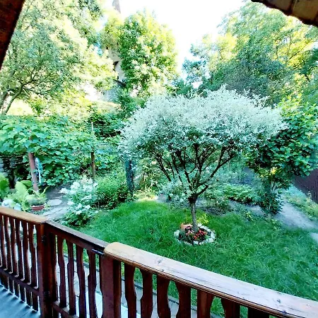 Appartamento Casa Adimi Sighişoara Esterno foto